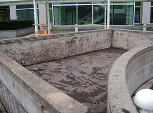 Microsoft Building - Unfinished Waterproofing Planter Box
